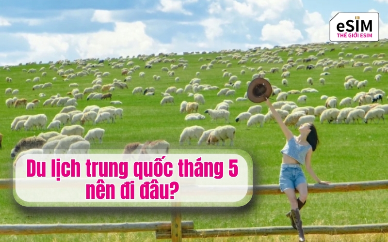 Du lịch trung quốc tháng 5 nên đi đâu?